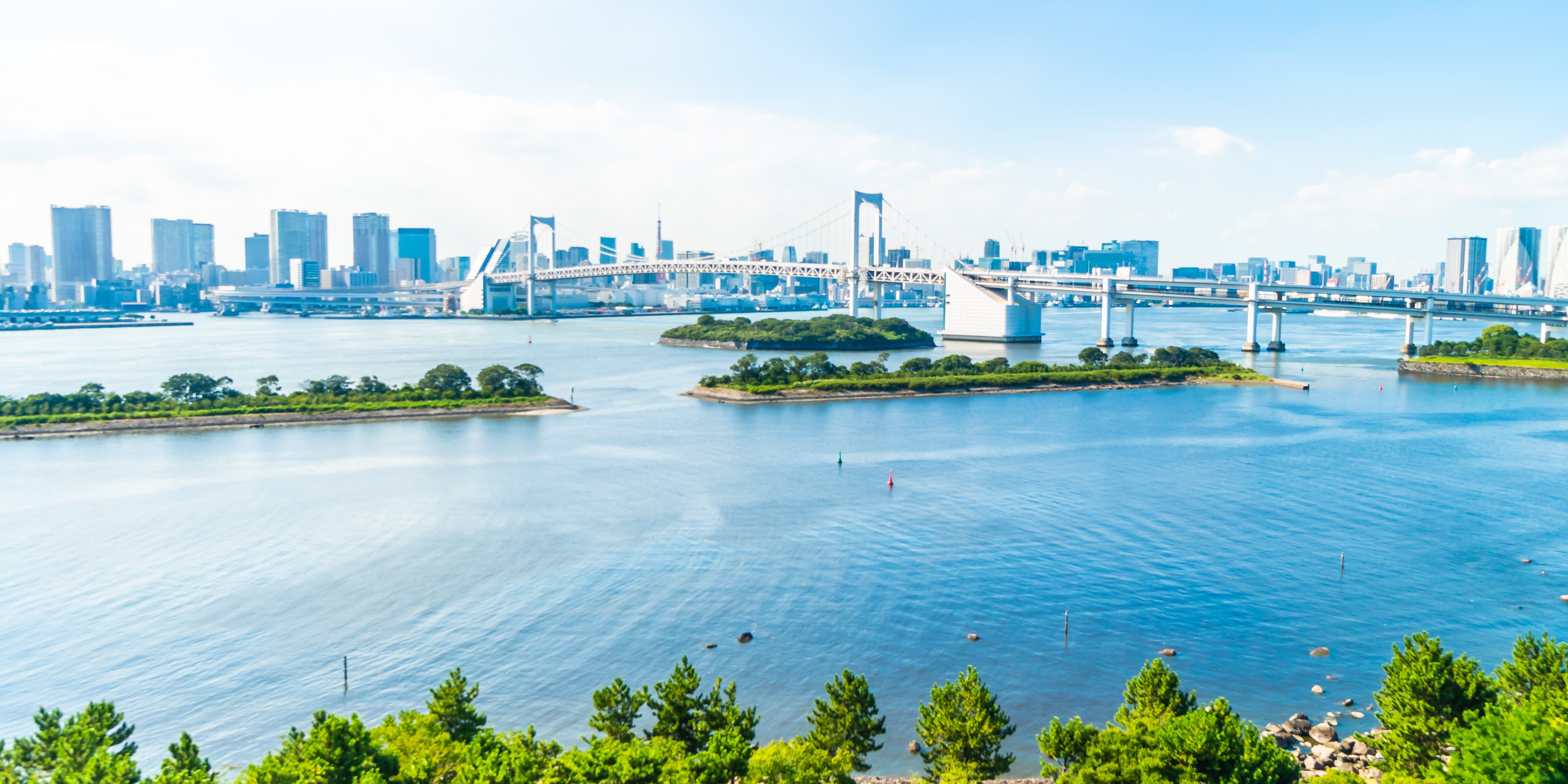 Tokyo Panoramablick auf die Rainbow Bridge in Tokio bei klarem Himmel, umgeben von Wolkenkratzern, Wasserflächen und grüner Vegetation im Vordergrund