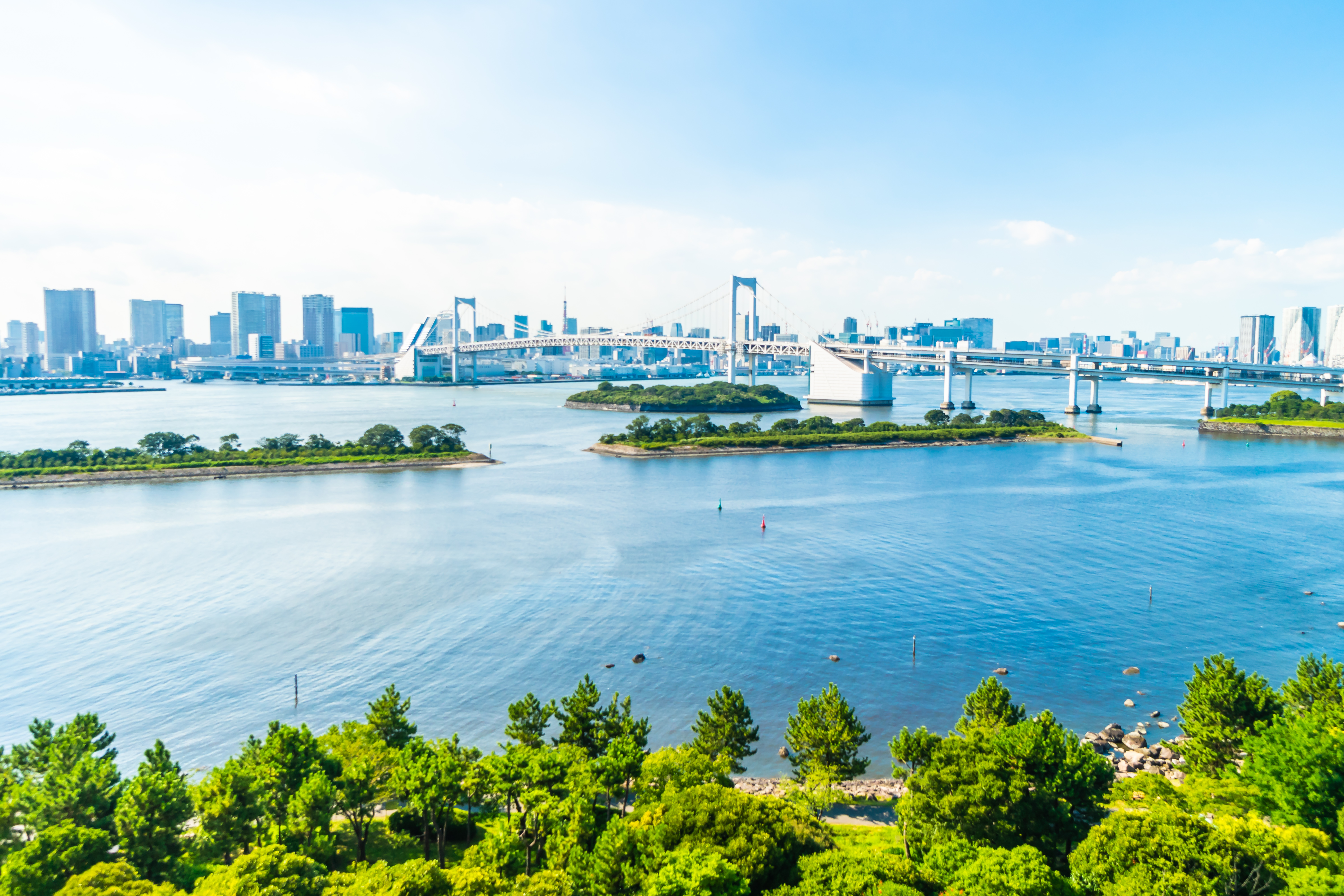 Tokyo Panoramablick auf die Rainbow Bridge in Tokio bei klarem Himmel, umgeben von Wolkenkratzern, Wasserflächen und grüner Vegetation im Vordergrund