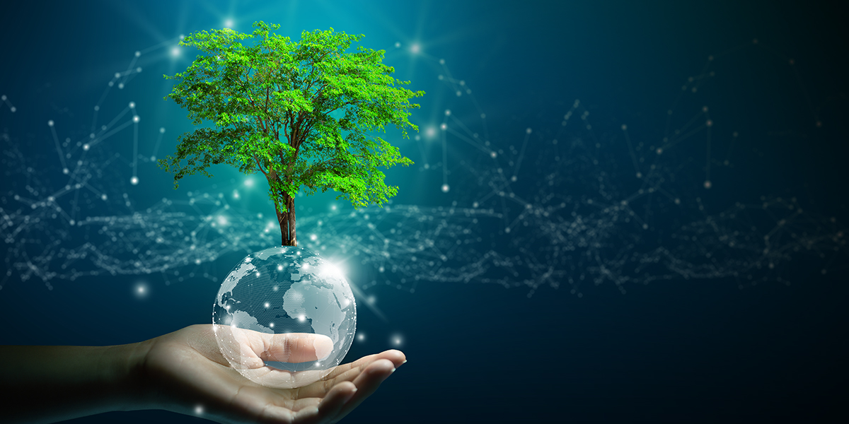 Framence_Blog_nachhaltig Hand holding a glass globe from which a green tree is growing; in the background luminous net structures