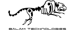 BALAM TECHNOLOGIES Logo